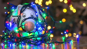 holiday bonus piggy bank lights